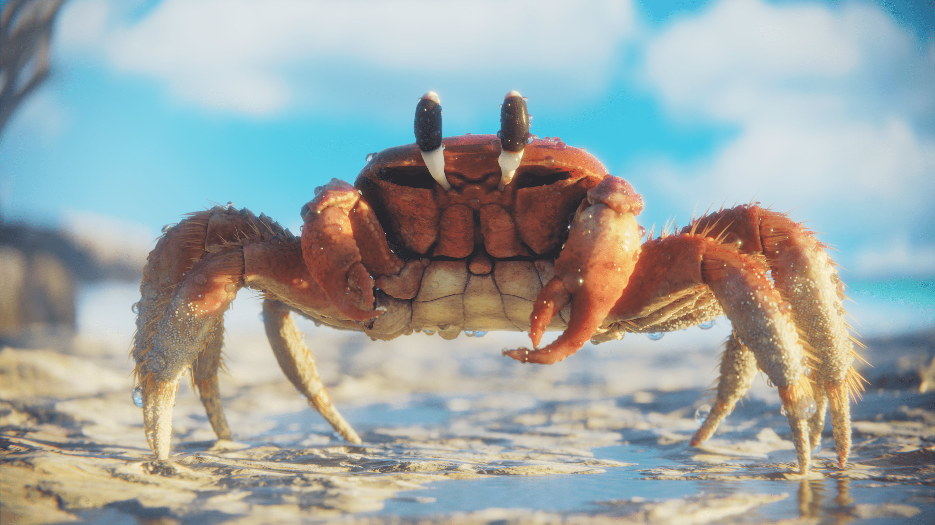 Sculpted a Ghost Crab as a bit of a ZBrush refresher.
